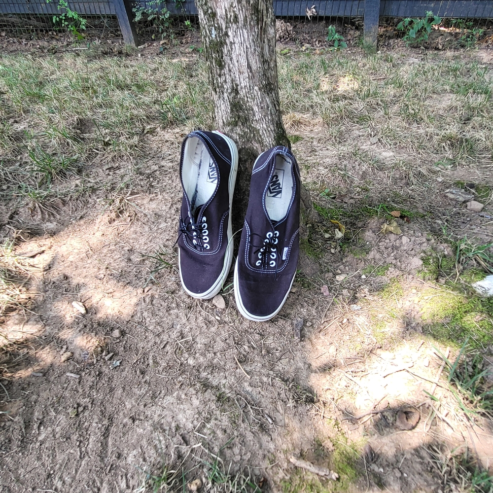 Vans Men's Black Canvas Shoes